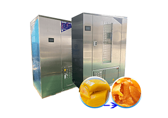 Mango dryer machine